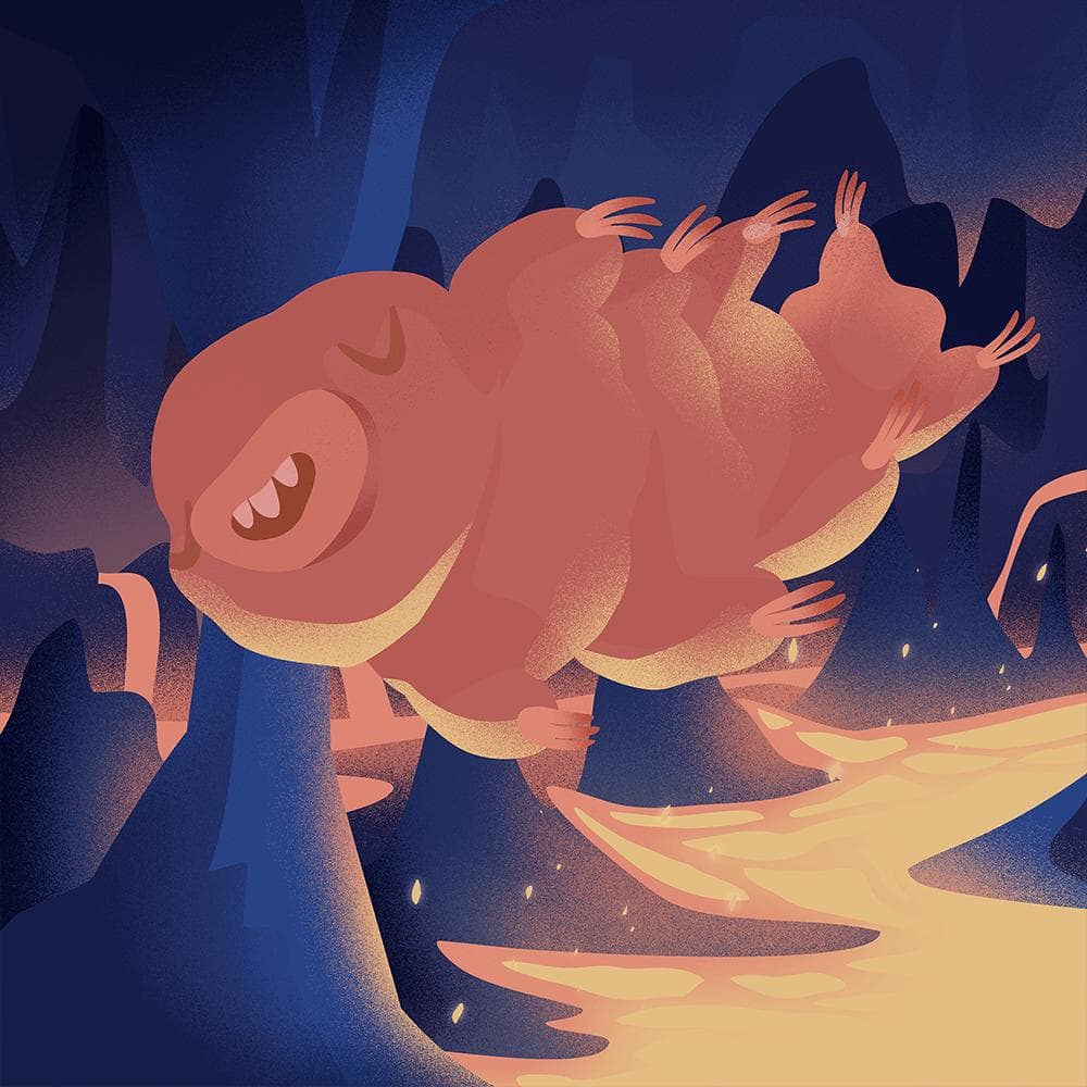 Journey to the Center of the Earth