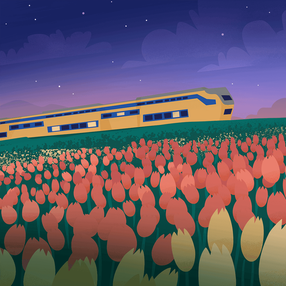 The Netherlands by Train