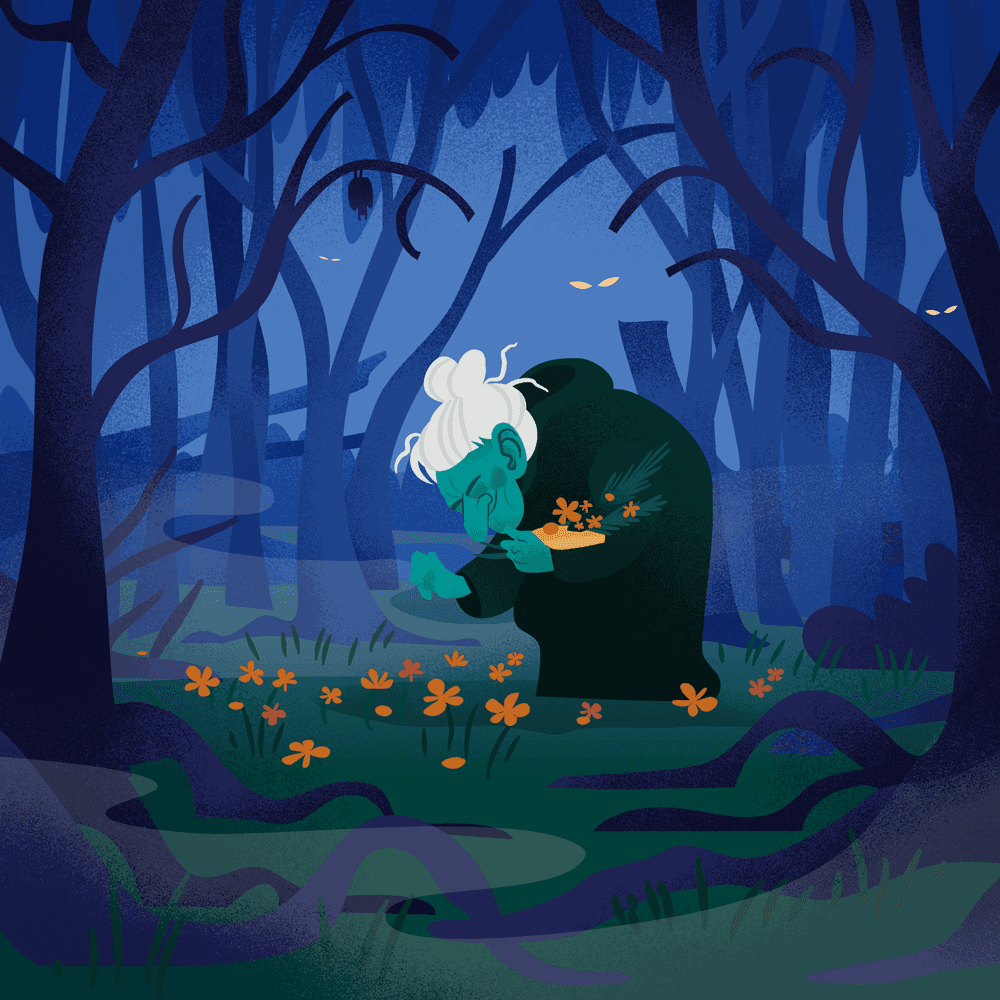 A Night in Old Oak Forest